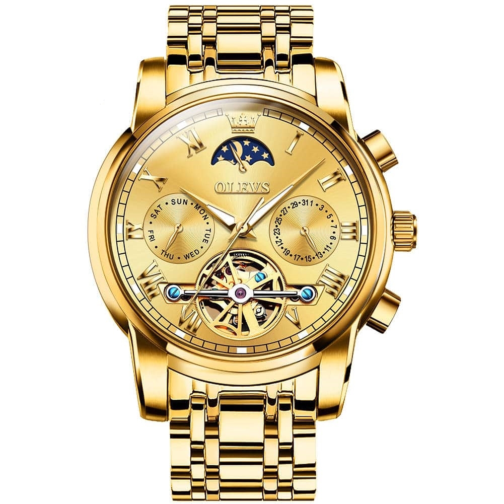 OLEVS Watch 6617 Luxury Mechanical